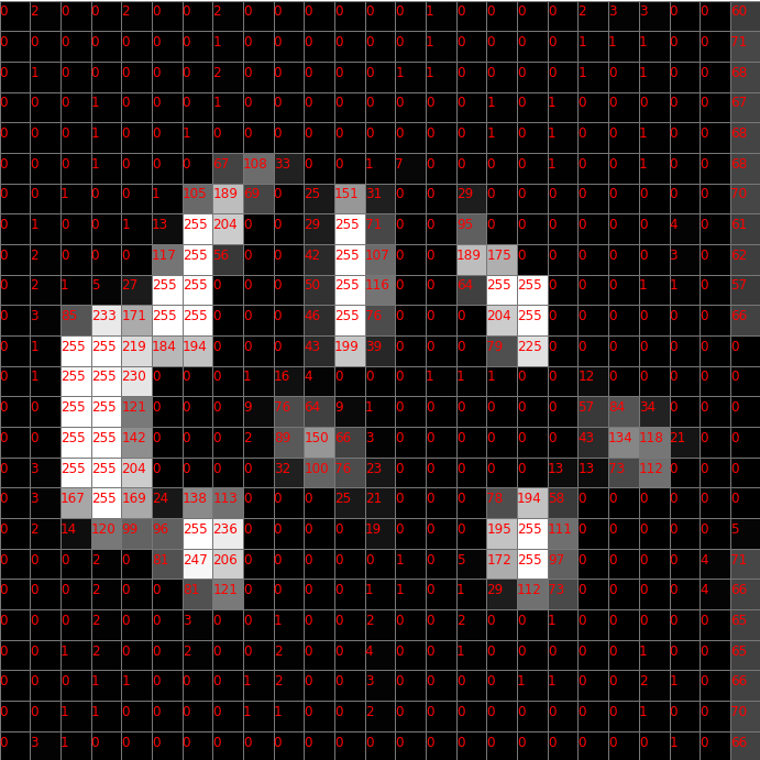 画像 グリッド表示2